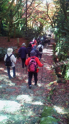 ニューサンピア敦賀　弧高庵～鶏足寺